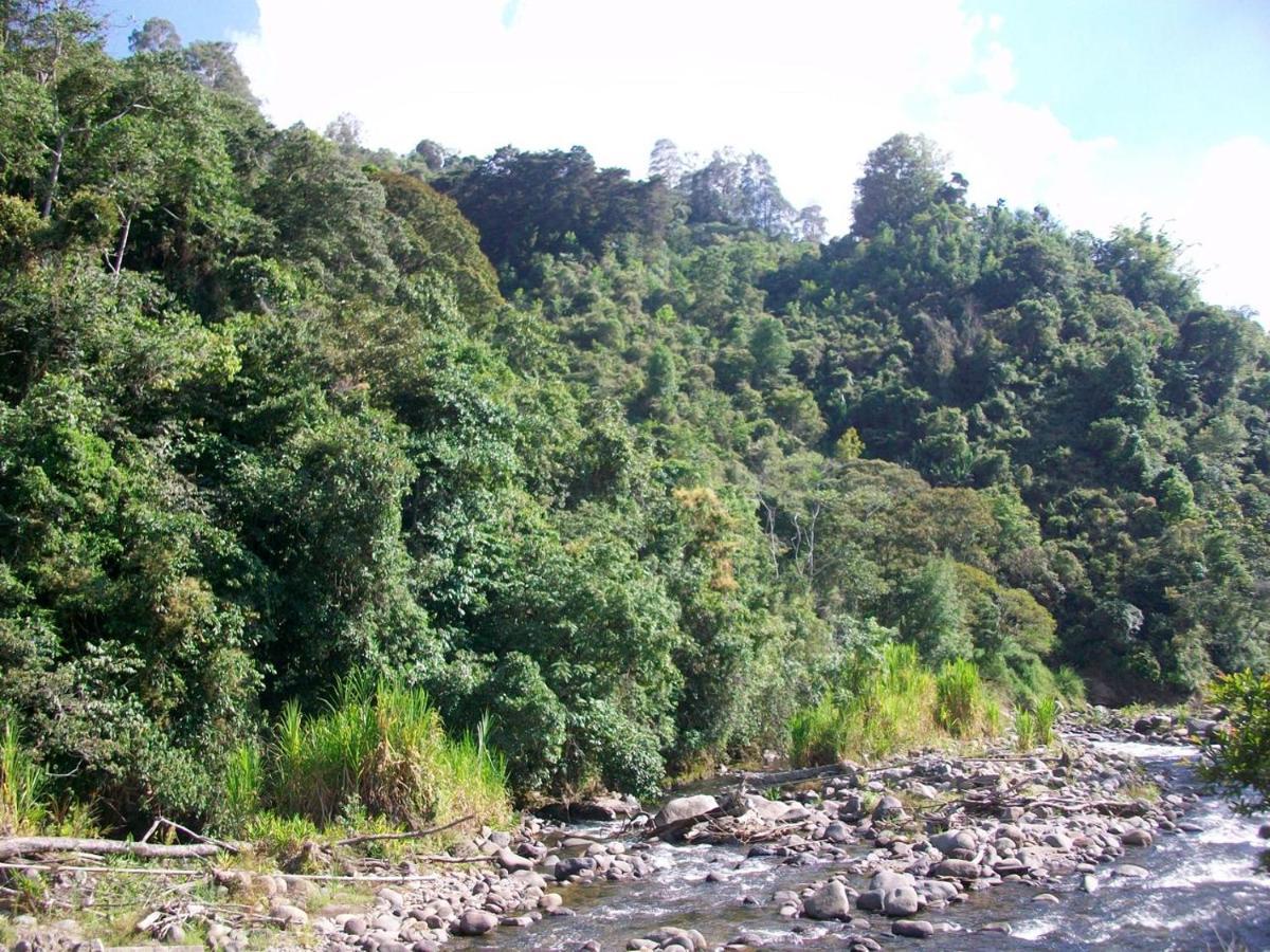 Kasaguadua - Reserva Natural ซาเลนโต ภายนอก รูปภาพ