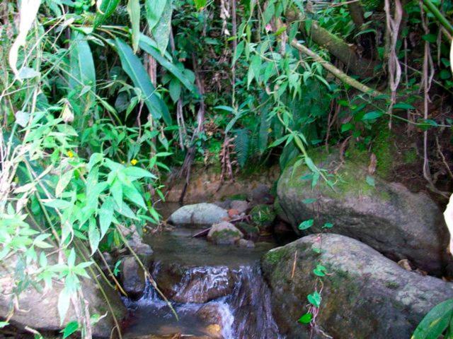 Kasaguadua - Reserva Natural ซาเลนโต ภายนอก รูปภาพ