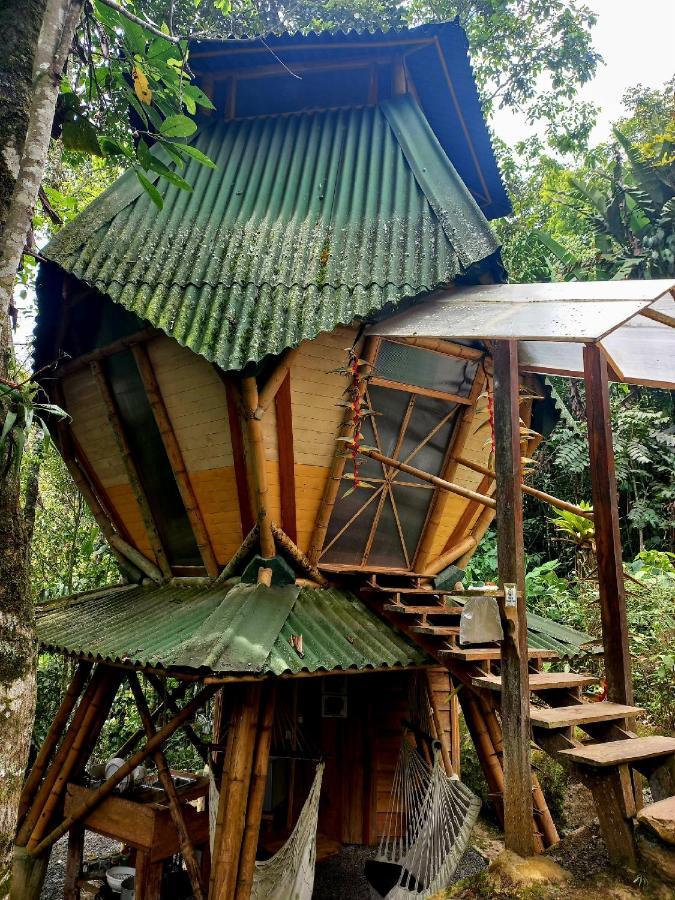 Kasaguadua - Reserva Natural ซาเลนโต ภายนอก รูปภาพ
