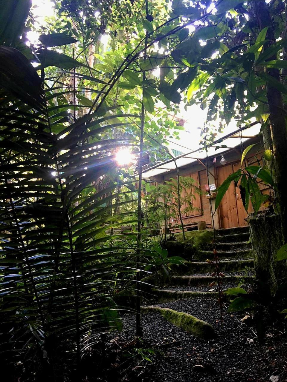 Kasaguadua - Reserva Natural ซาเลนโต ภายนอก รูปภาพ